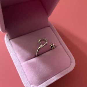 Adjustable ‘D’ Ring in Suede Box